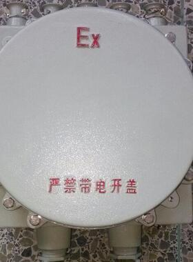 JXC防爆端子箱 铸铝防爆接线箱 IIC级防爆箱 300*300*170 315*315
