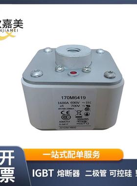 170M6419 170M6420 快速低压熔断器 直流 熔芯 电子元器件 现货