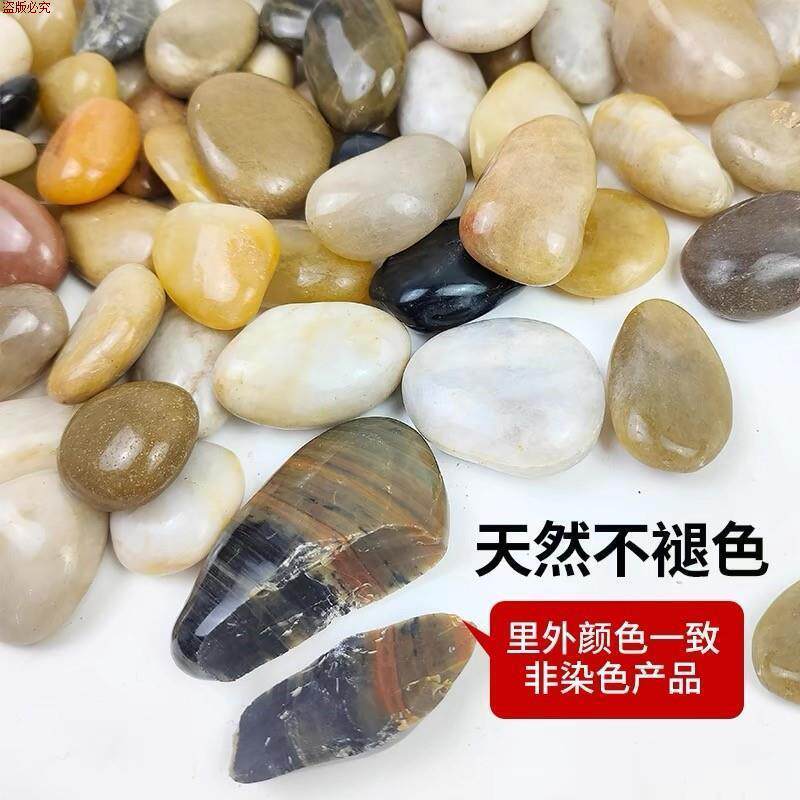 j63石子原石海南白色鹅卵石天然造景水洗石头地雨花石石铺庭院花