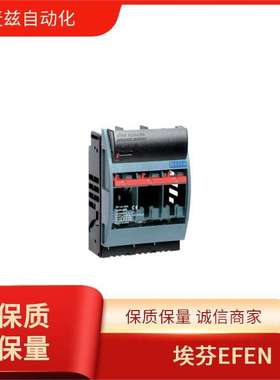 EFEN 埃芬 德国 熔断器 29160-1000 变压器 ST-FMU 10/4-U0 100A/
