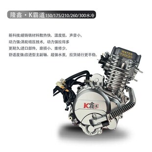 汽油三轮摩托车隆鑫发动机三轮摩托车燃油家用农S用自卸载重王自