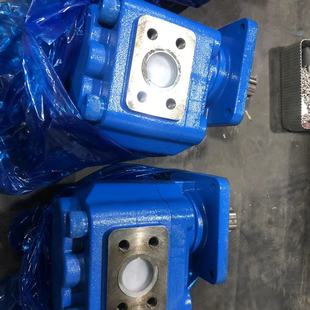 40G钻机齿轮泵 B2R 多种规格 BF3215 北方供应