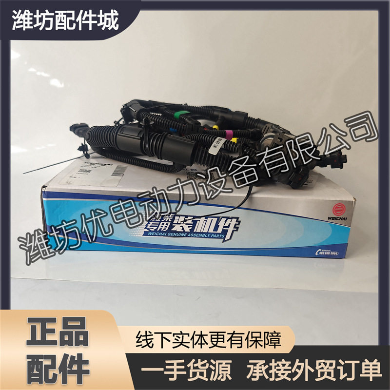 电脑板线束1000410649发动机线束喷油器线束整车线束WP4潍柴WP3