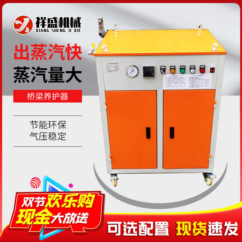 混凝土蒸汽养护器 桥梁蒸汽发生机 全自动蒸汽锅炉48kw蒸气发生机