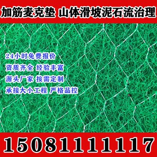 甘肃绿色镀高尔凡加筋麦克垫三维植被网土工网垫护坡固土水土保护