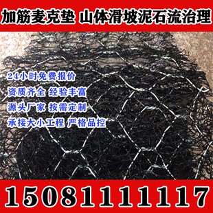 广东加筋麦克垫三维植被网植草护坡网三维土工网垫土工网EM3型NSS