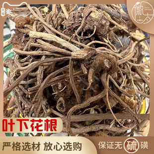 叶下花根 中药材 叶下花叶 追风箭 云南叶下花 500g克