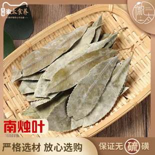 南烛叶中药材南浊叶南竹叶乌饭叶茶新鲜干叶树叶墨饭叶乌饭叶叶子