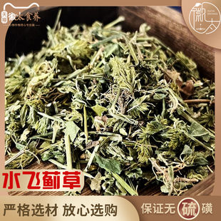 水飞蓟草奶蓟草牛奶蓟中药材奶藓泡茶飞水蓟草非茶包泡水奶剂草