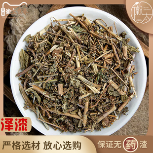 正品泽漆非500g克五朵云五灯草段新货猫眼草五凤草干货天然中药材