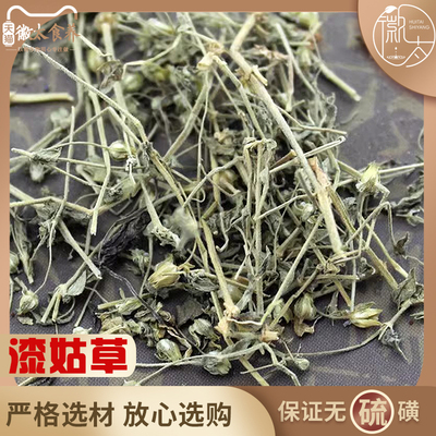 漆姑草中药材瓜槌羊儿地松星