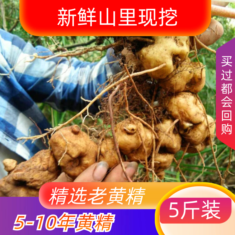 新鲜黄精中药材九华山鸡头滇黄精滋补泡酒煲汤非野生没九晒九蒸