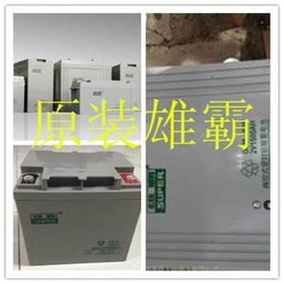 新九州雄霸蓄电池6FM200发电厂船舶直流屏12V200AH机房UPS包邮销