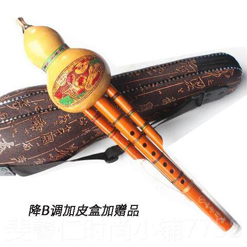 新品葫芦丝降b调c调凤尾真葫小学生人儿童初芦学入门初学竹成者乐