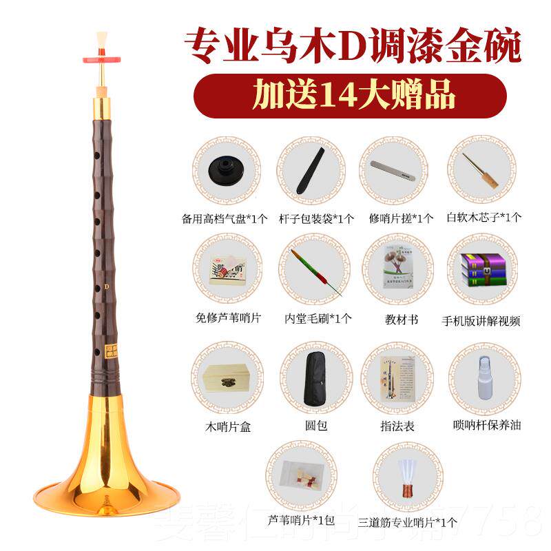 新品家彪乌木D调镜面堂唢呐器乐学者全套王高级喇叭民族初入门专