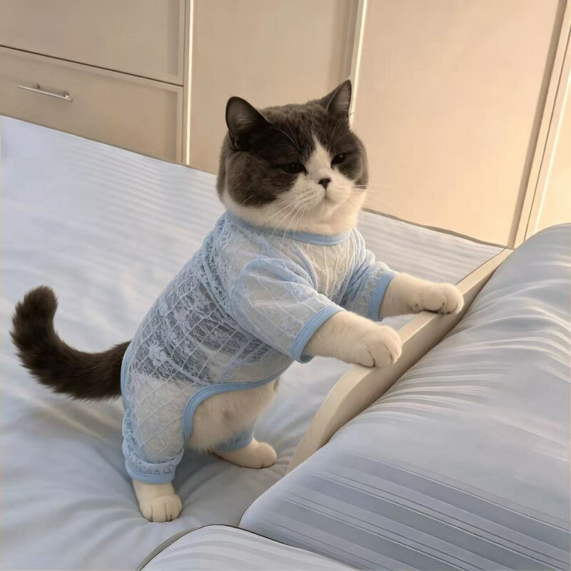 宠物服饰夏季薄款透气镂空网纱四脚衣狗狗衣服比熊博美防晒降温
