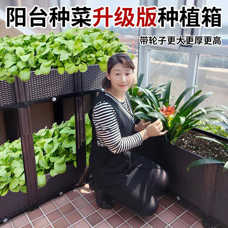 大料菜号种种箱阳01209台种菜盆塑花菜箱组植合蔬花盆植屋顶种户