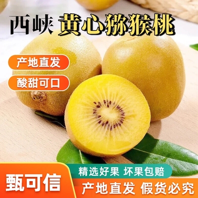 西峡黄心猕猴桃新鲜水果奇异果当季孕妇水果无毛包邮整箱