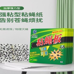 饭店粘蝇纸星克消灭苍蝇厨房蝇苍贴家用加厚商用强力引诱捕捕蝇器