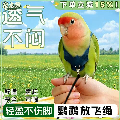 鹦鹉牵引绳遛鸟神器外出放飞训练牡丹玄凤虎皮专用鸟放飞绳