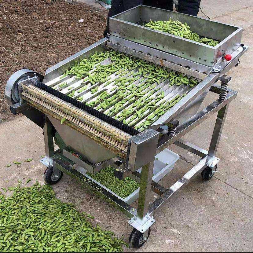 全自动毛豆剥皮机剥壳器剥豆器拨仁机机蚕米豆新款商用去剥皮机机