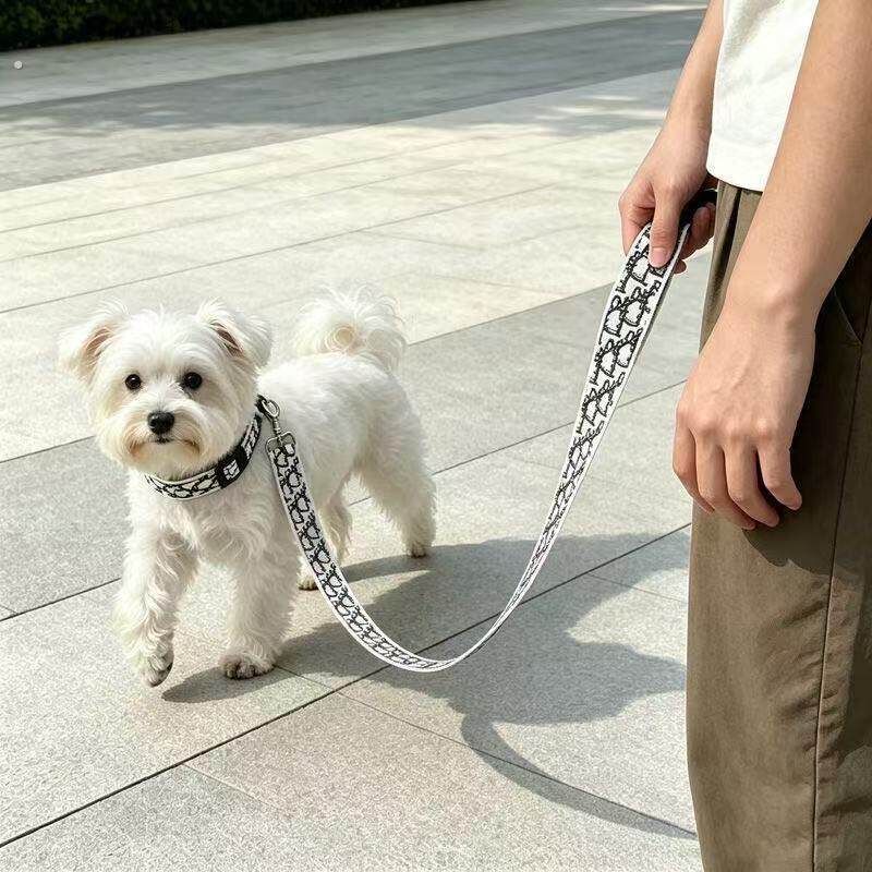 网红潮流宠物牵引绳狗狗遛狗绳小型中型犬泰迪柯基法斗外出牵引带