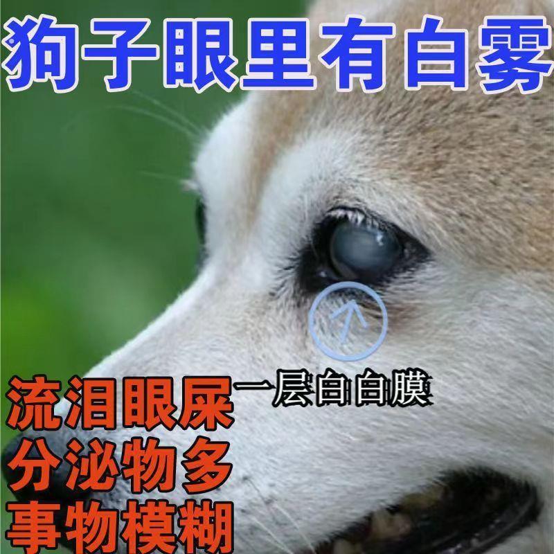 狗狗眼白膜】宠物眼混浊滴眼液猫狗用去泪痕眼屎多老流泪护眼液