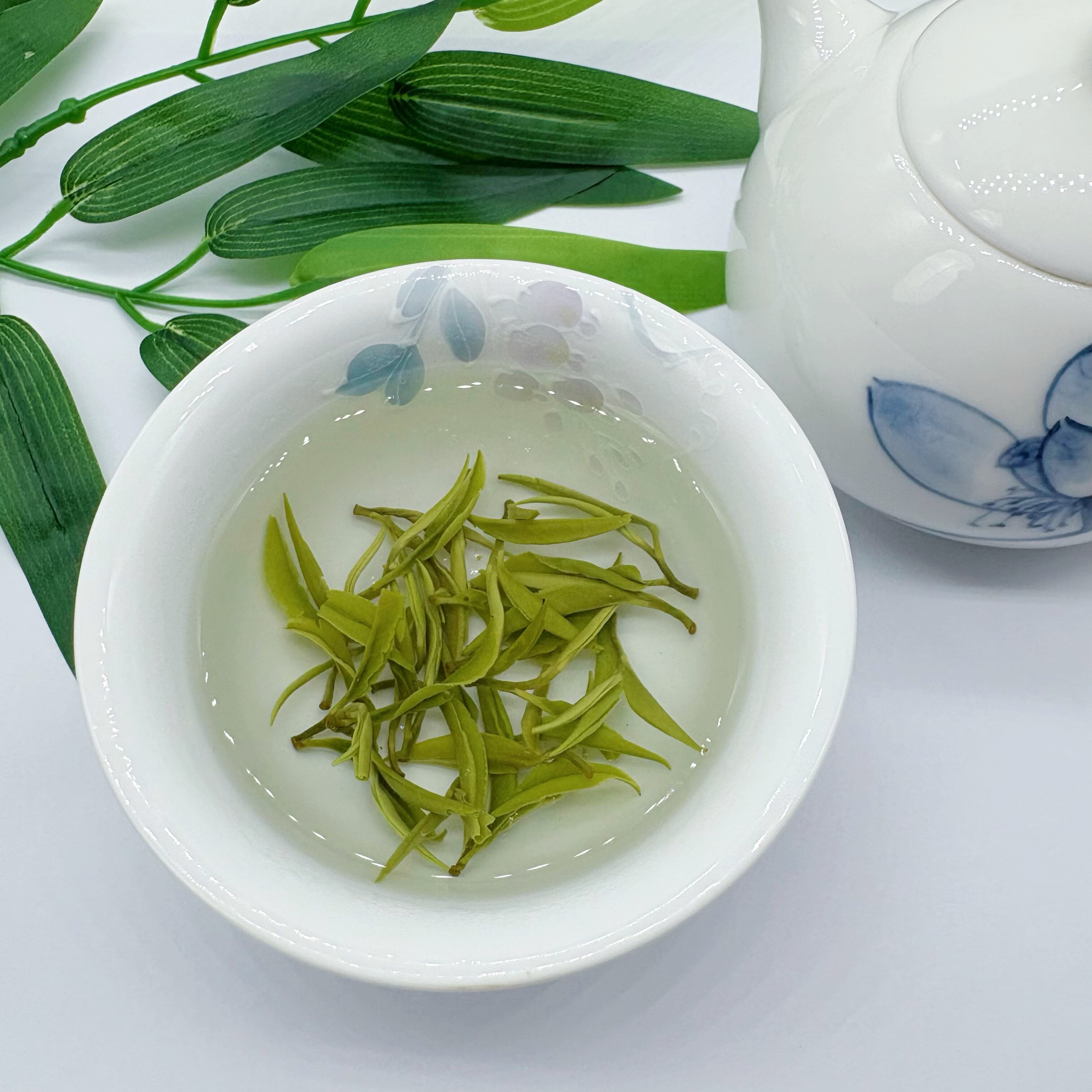 2026 保靖黄金茶2号精品