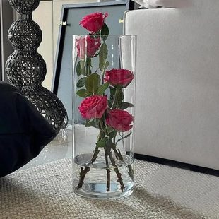 花瓶摆件2025情绪稳定ins风亚克力 鲜花客厅轻奢感高级插花新款