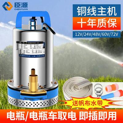 臣源直流潜水泵48V60V家用电动车农用小型12V24V电瓶抽水泵高扬程