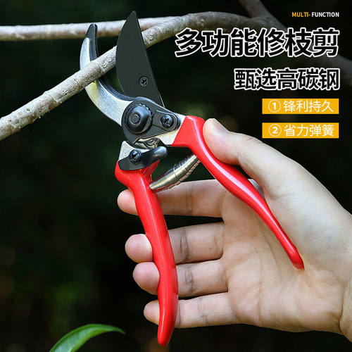 多功能园艺剪强力不锈钢省力修枝剪园林果枝剪嫁接剪采摘剪花艺剪