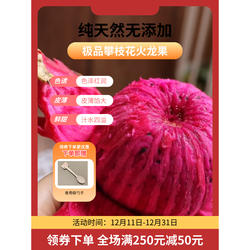 现摘攀枝花红心火龙果汁水四溢 当季水果蜜宝满减赠勺子