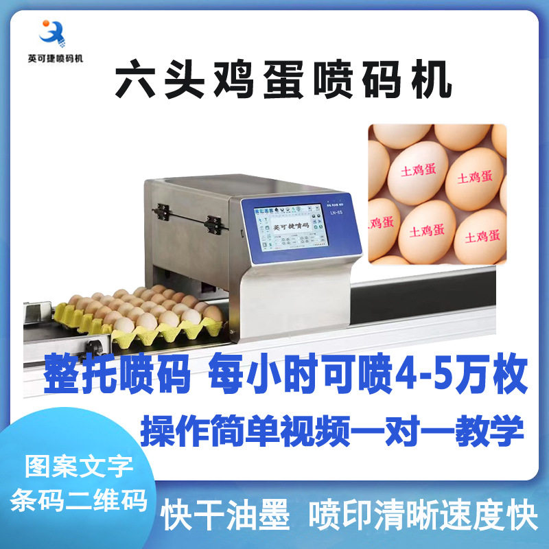 六头鸡蛋喷码机厂家 整托蛋类生产日期喷码机 农家蛋打标机