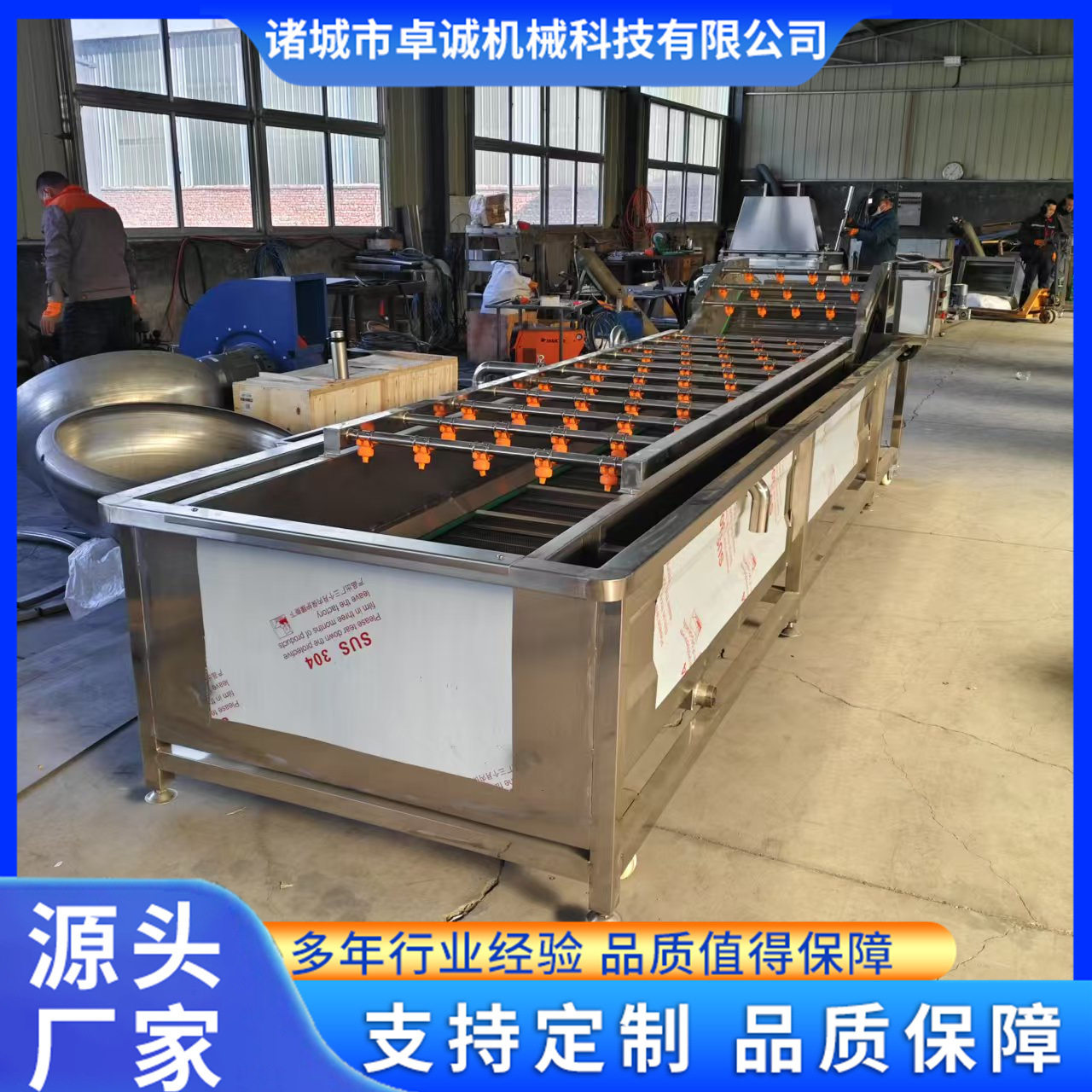 山楂全自动清洗机大枣气泡式喷淋清洗机水果不锈钢清洗风干线