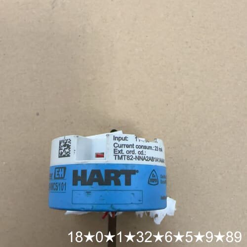 EH TMT82-NAA2AB1A1AAA1温度变送器，外