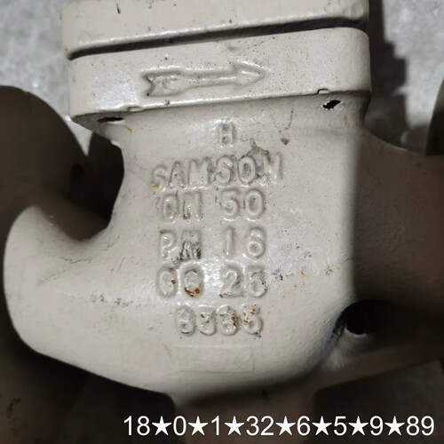 SAMSON萨姆森3274-2311100000-01，实物