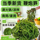 鞭炮笋海笋长寿菜凉拌菜海草藻菜火锅食材鞭泡笋盐渍马尾藻羊栖菜