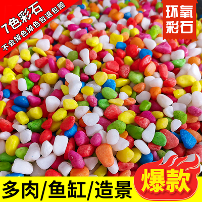 五彩石彩色小石头盆栽七彩色铺面小石子多肉水培鱼缸天然园艺造景