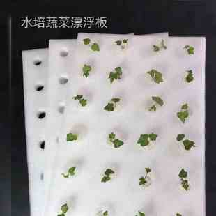 水培器皿漂浮板定植板无土栽培设备水上温室种菜水培泡沫板种植板