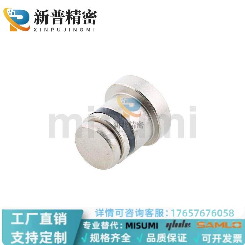 不锈钢导轨用定位销 偏心销LLT3.5 LLT5 LLTS5 ICE11-T5