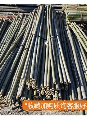 绿色青楠竹子大棚种菜竹竿婚庆A支撑杆菜园固定道具插花固定支架