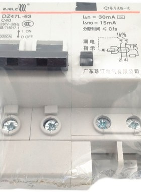 珠江漏电保护开关2P63A32a断路器带空气开关DZ47L63家用电闸漏保