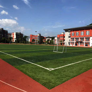 室外地垫草坪户外仿真幼儿园彩虹跑道草坪庭院绿化工程围挡草坪网