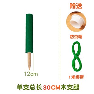 绿萝攀爬架龟背竹支撑杆椰棕棒升级爬藤植物花架天堂鸟鹤望兰花柱