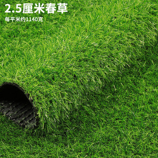 仿真草坪秋色假草皮人工地毯屋顶隔热遮阳户外围挡人造阳光房防晒