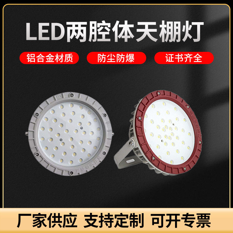 LED两腔款防爆天棚灯加油站仓库车间化工厂防腐投光灯户外照明灯