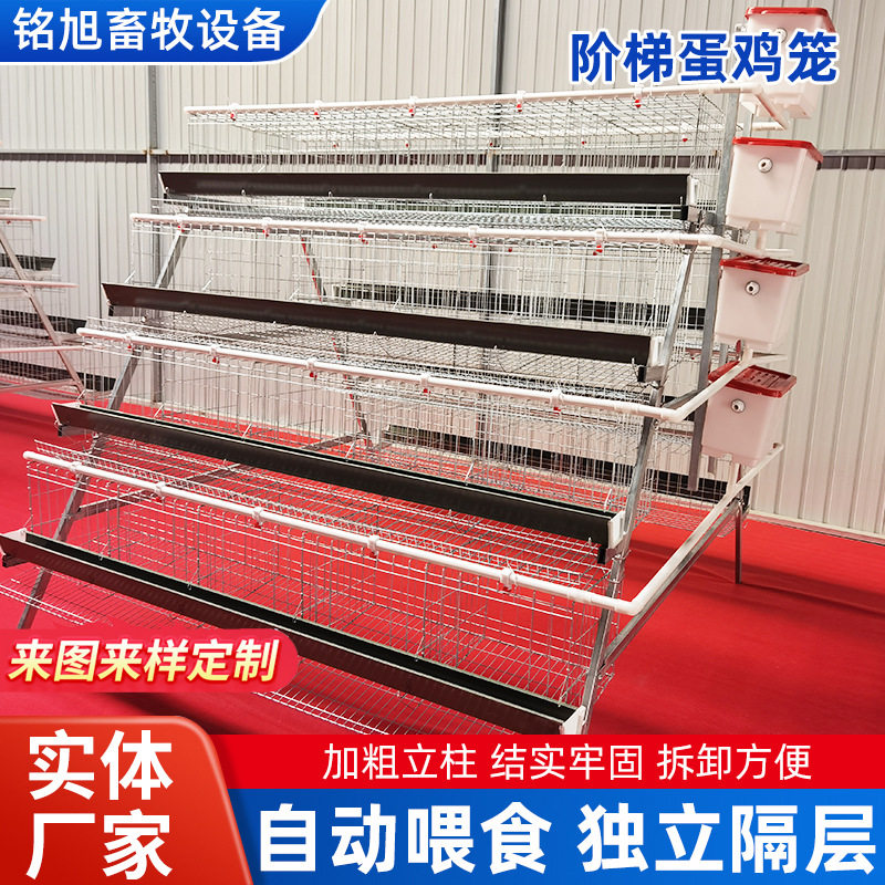 四层五门阶梯式蛋鸡笼多层养鸡笼设备配件全自动蛋鸡大规模饲养笼