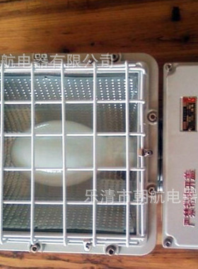 隔爆型泛光灯 BAT52 250W 400W 1000W 方型投光灯 BAD5031/5032.