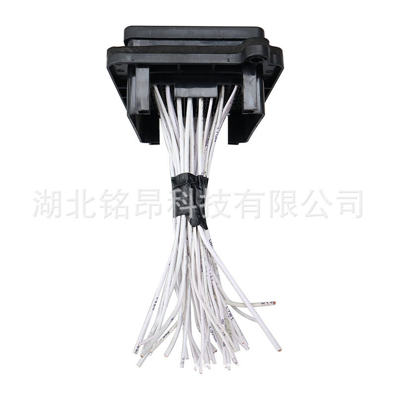 东风天锦EQ1120带线保险丝盒