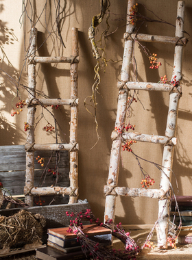 白桦木梯子落地装饰摆件幼儿园环创花园庭院园艺花艺橱窗拍摄道具